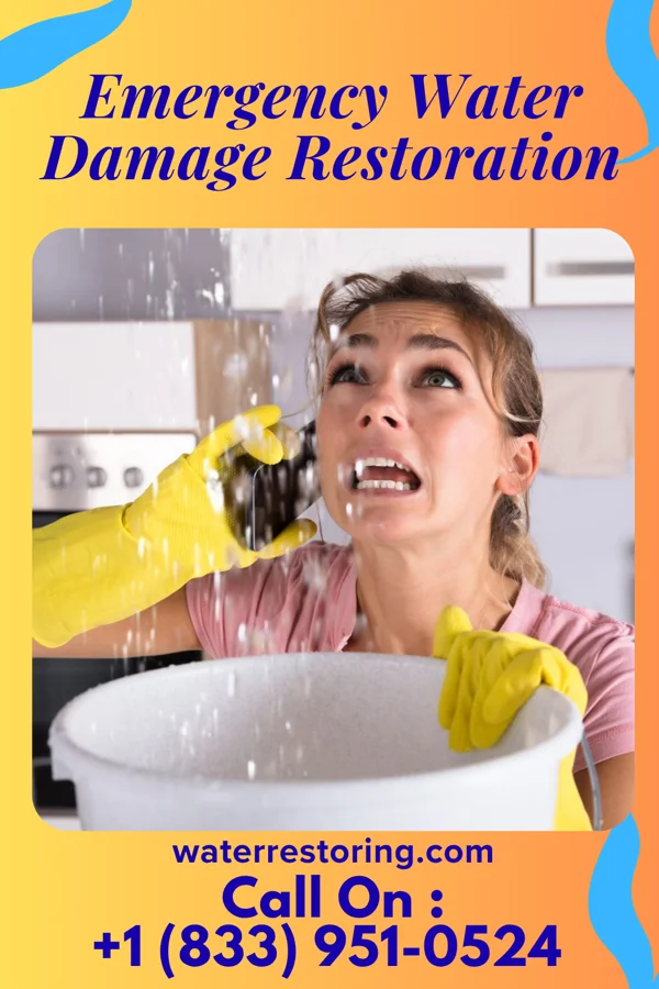 Emergency Water Damage Restoration in Williams Acres, NM