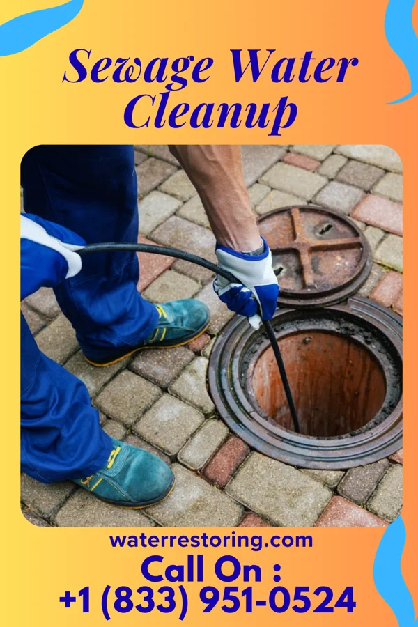 Sewage Water Cleanup in Williams Acres, NM